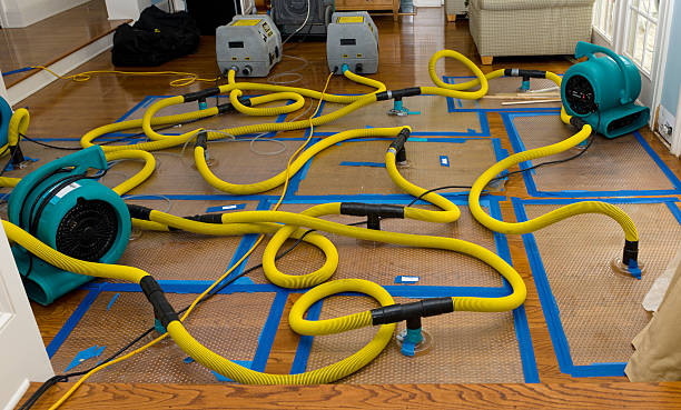Professional Sewage Cleanup technician working in Manton, MI